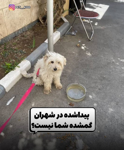 Gz6KE3UWEAAMi 3.jpg