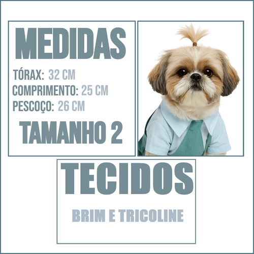 MEDIDAS TAM 2.png