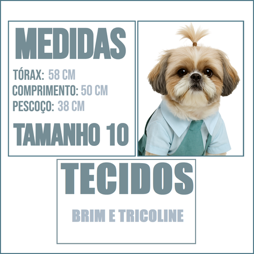MEDIDAS TAM 10.png
