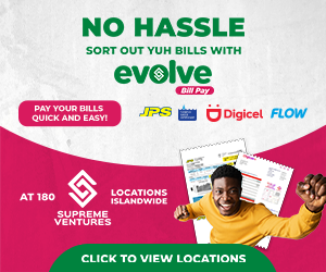 Evolve Pay Bill No Hassle 300x250.png