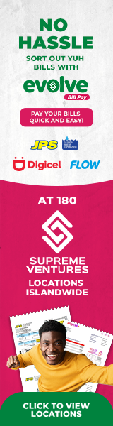 Evolve Pay Bill No Hassle 160x600.png