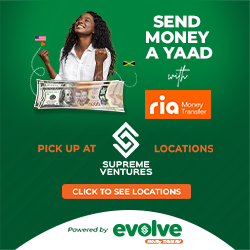 Evolve Money Transfer Ria Fan 250x250.png