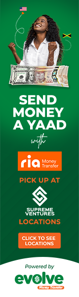 Evolve Money Transfer Ria Fan 160x600.png
