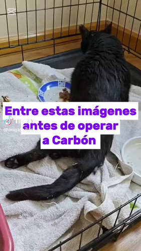n2Ux7ejxtiD9H1Ds.jpg