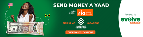 Evolve Money Transfer Ria Fan 970x250.png