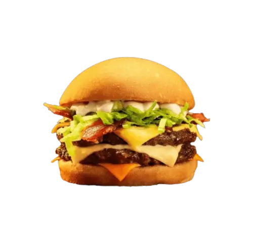 X DUPLO SAL BAC.webp