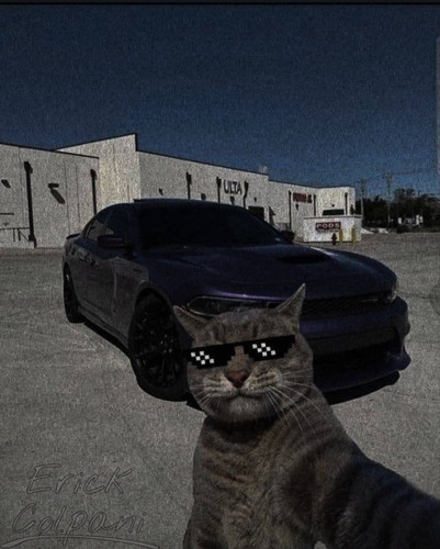 Gz8IcYsWsAAWNxj.jpg