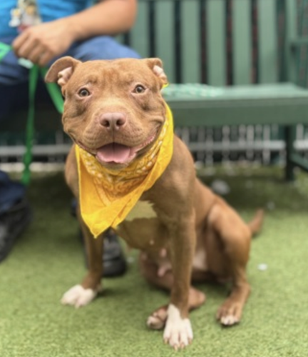 Gz4v PCWEAAFr5a.png