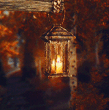 yq98i2jkcl8.gif