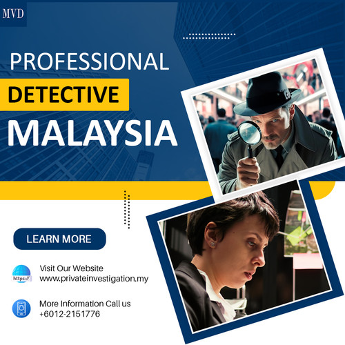 Professional Detective Malaysia.jpg