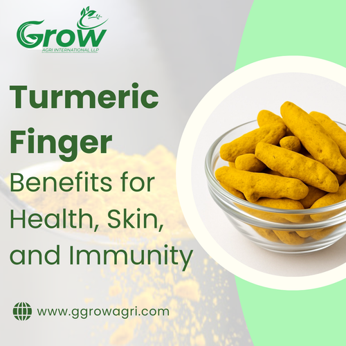 Turmeric Finger Benefits for Health, Skin, and Immunity.png