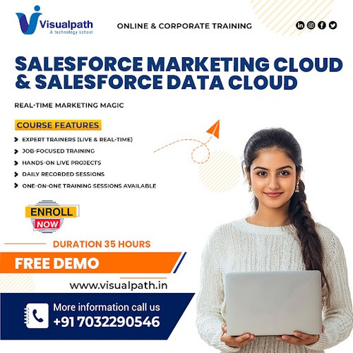 Best Salesforce Marketing Cloud Online Training in India.jpg