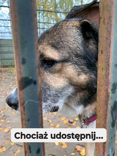 GIuzZu6X0AArUDS.jpg