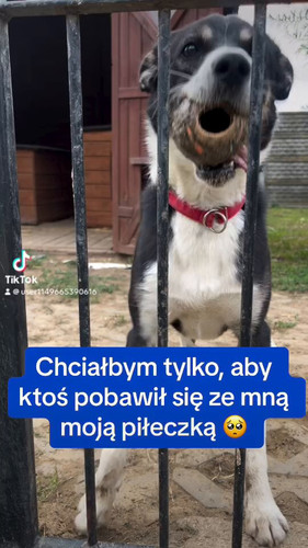 XJUJ3F2bjWHTnItK.jpg
