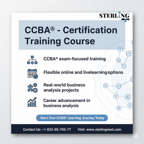 CCBA® Certification Training Course (1).png