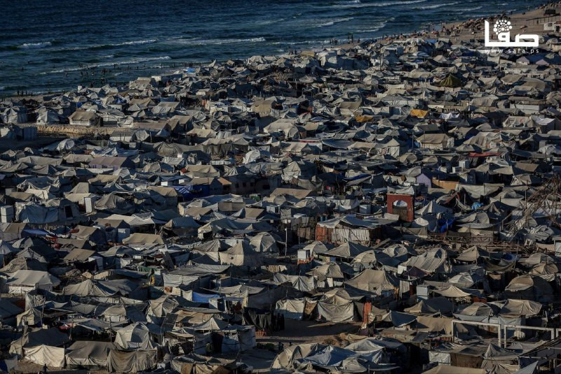 تكدس خيام النازحين في 
المناطق الغربية لمدينة غزة ....