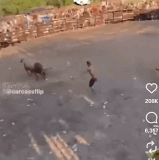 AISelect 20250904 150224 Instagram.gif