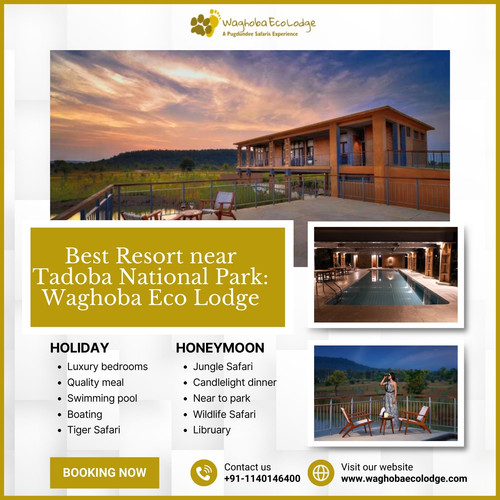 best resort near tadoba national park.jpg