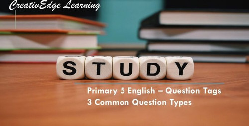 English Tuition for Primary 2 Singapore.jpg