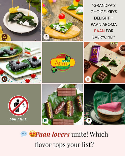 Best paan Franchise model.jpg