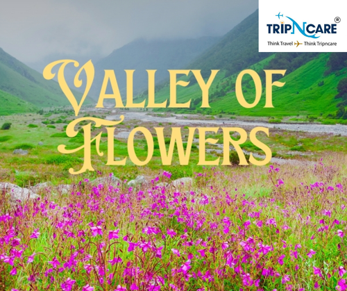 Valley of flower.png