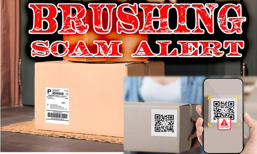 brushingscam2501.jpg