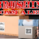 brushingscam2501