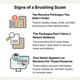 brushingscam2504