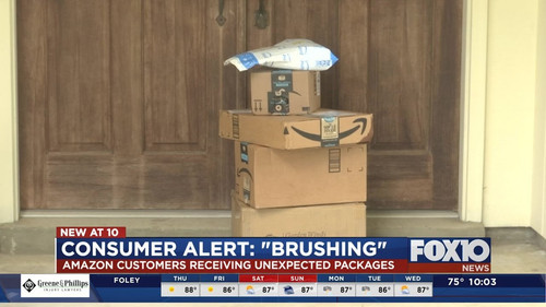 brushingscam2502.jpg