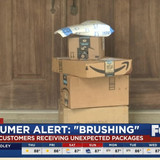 brushingscam2502