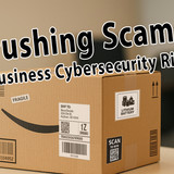 brushingscam2503