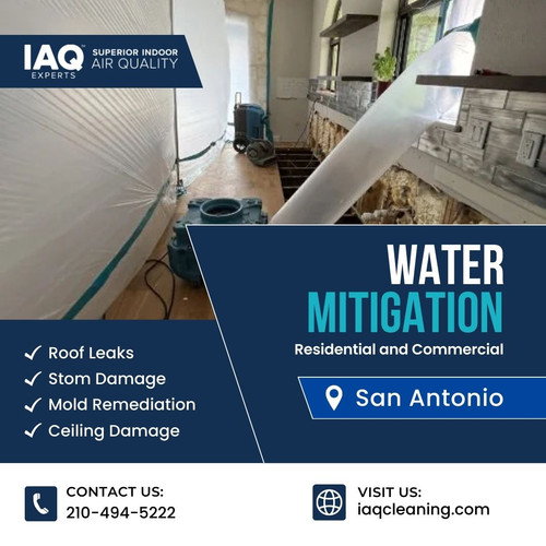 Water Mitigation in San Antonio.jpg