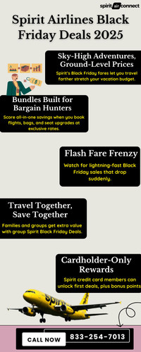 Spirit Airlines Black Friday Deals 2025.jpg