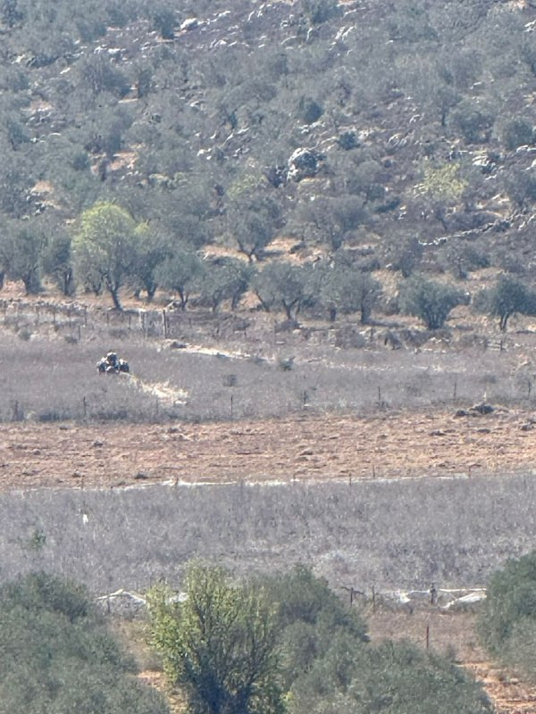 مستوطنون بحماية قوات الاحتلال يقتحمون أراض زراعية في قرية قريوت جنوب نابلس....