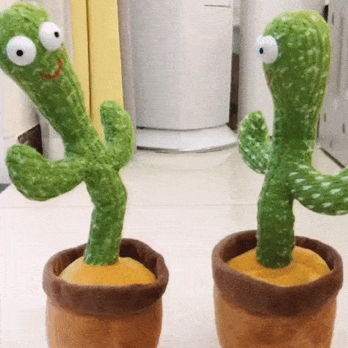 Dancing Cactus Image 4