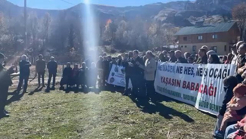 vWIK4NmLTYD BNb7.jpg