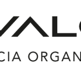 CrieValor horizontal0 preto