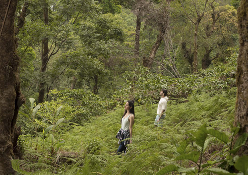Forest Therapy 1886X1333 11.jpg