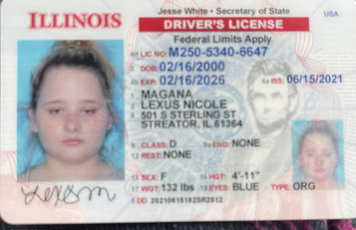 Lexus Nicole Magana license image.jpg