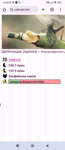 Screenshot 2025 11 08 14 28 53 043 com.android.chrome.jpg