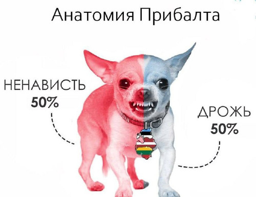 TUU5Sq5gLJU2 DAOZCPA2HAXinRyI s6Nn6kUv5 NRuH3 cenjz5gK DKFqM3Z IPOFhI8 Pc468mt2VIZ4ulPvKq247XY3MaJCp.jpg