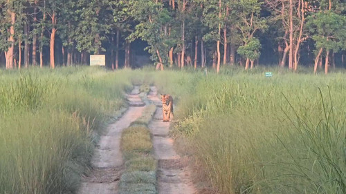 oRSyMTR HxnrECg7.jpg