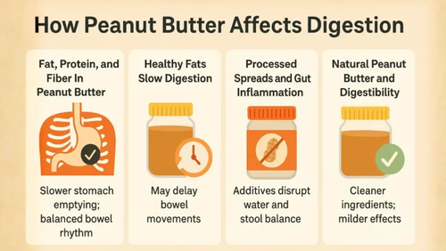 How Peanut Butter Affects Digestion.png
