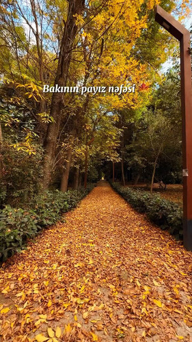 8Yh3KUFFA kyTun .jpg