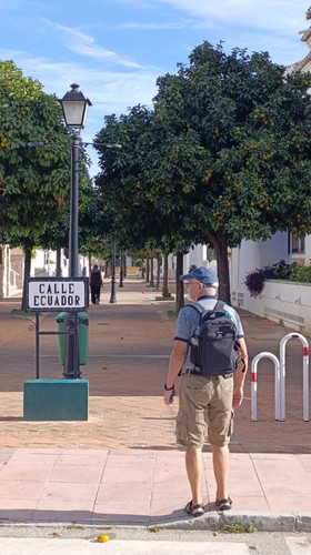 IMG 6c57d80fa1b96eea23452ff8b62a118e V.jpg