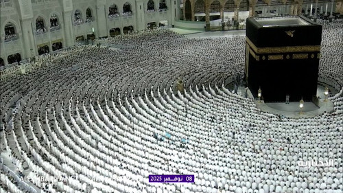 4squ1ENKe3uW upf.jpg