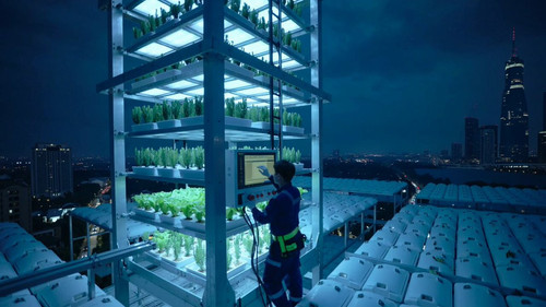 cvz 64SqEZp3YGc .jpg