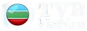 tvbvietnam.png