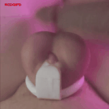 GIF 251107 002834.gif