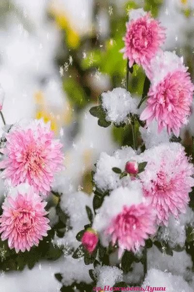 G5OApXKbIAQwLA .jpg